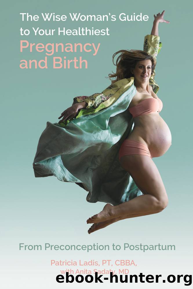 The Wise Woman's Guide to Your Healthiest Pregnancy and Birth: From Preconception to Postpartum by Patricia Ladis