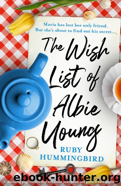 The Wish List of Albie Young (ARC) by Ruby Hummingbird