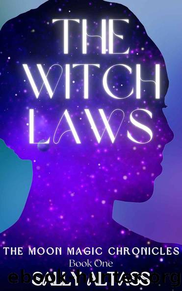 The Witch Laws by Sally Altass