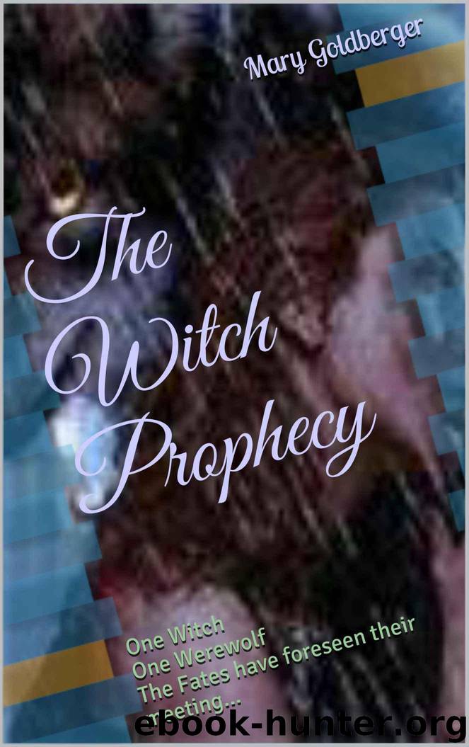 The Witch Prophecy by Goldberger Mary