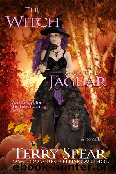 The Witch and the Jaguar by Terry Spear