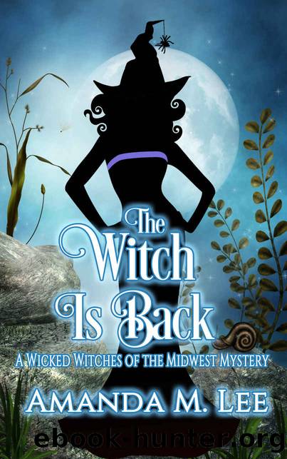 The Witch is Back (Wicked Witches of the Midwest Book 17) by Amanda M. Lee