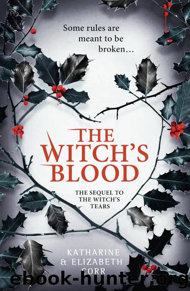 The Witch's Blood by Katharine Corr