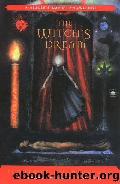 The Witch's Dream: A Healer Way of Knowledge by Florinda Donner-Grau