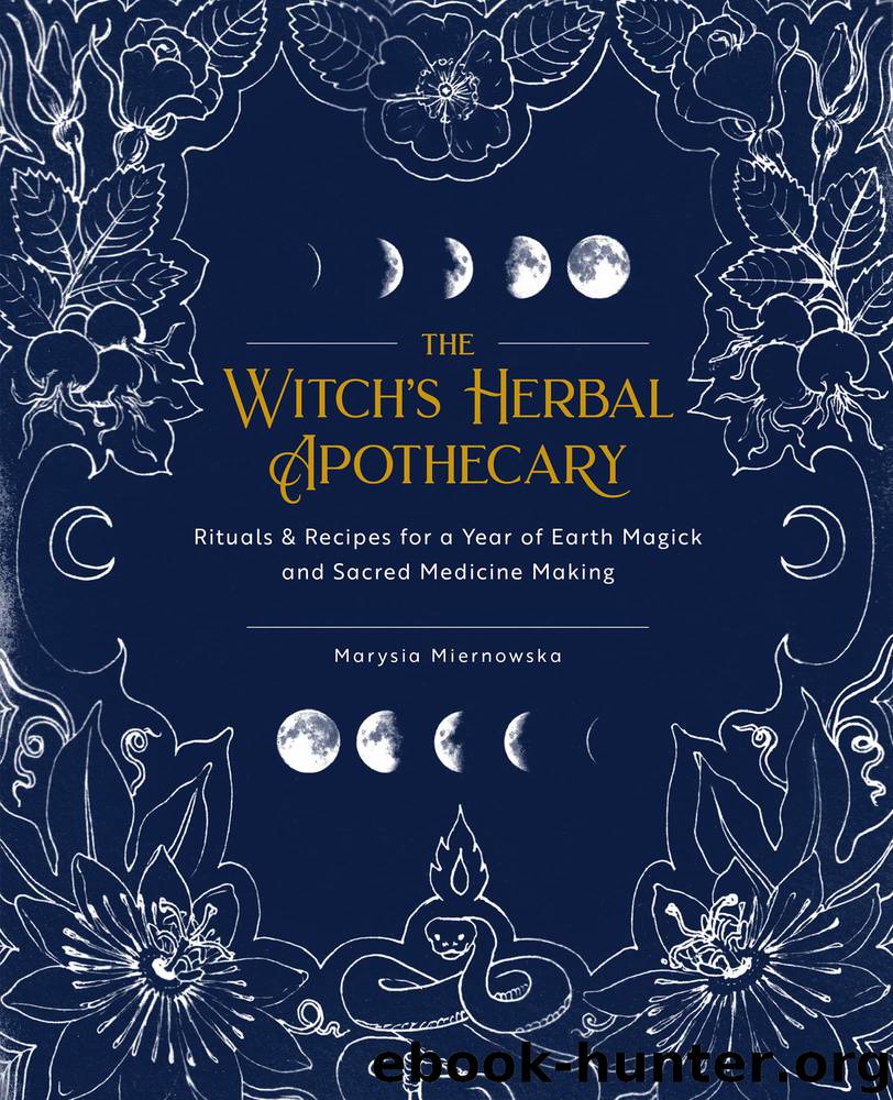 The Witch's Herbal Apothecary by Marysia Miernowska