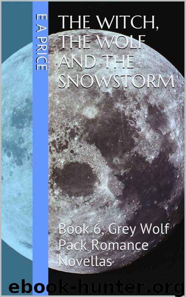 The Witch, the Wolf and the Snowstorm: (Book 6, Grey Wolf Pack Romance Novellas) by Price E A