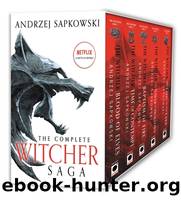 The Witcher Boxed Set: Blood of Elves, the Time of Contempt, Baptism of Fire, the Tower of Swallows, the Lady of the Lake by Sapkowski Andrzej