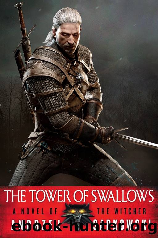 The Witcher Saga [06] - The Swallow's Tower by Andrzej Sapkowski