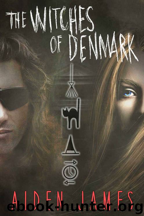 The Witches Of Denmark by Aiden James