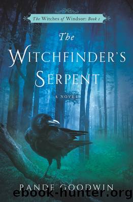 The Witchfinder's Serpent by Rande Goodwin