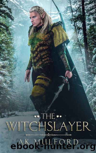 The Witchslayer by AK Mulford