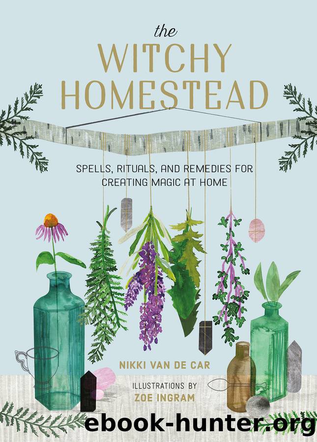 The Witchy Homestead by Nikki Van De Car