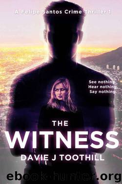 The Witness by Davie J Toothill