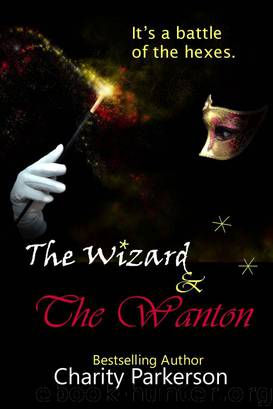The Wizard & The Wanton by Charity Parkerson