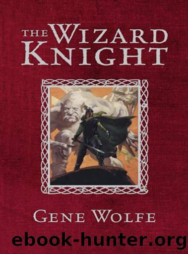 The Wizard Knight by Gene Wolfe