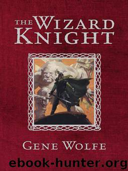The Wizard Knight by Wolfe Gene Gene
