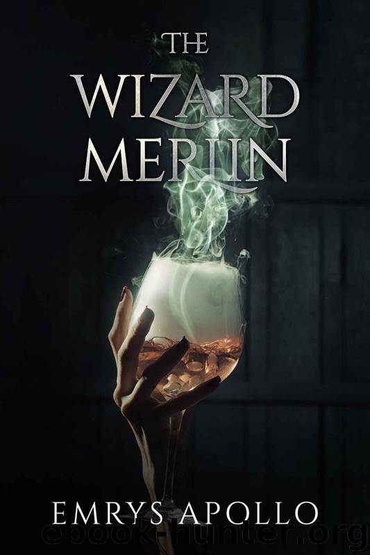 The Wizard Merlin by Emrys Apollo