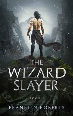 The Wizard Slayer (The Wizard Slayer Saga Book 1) by Franklin Roberts