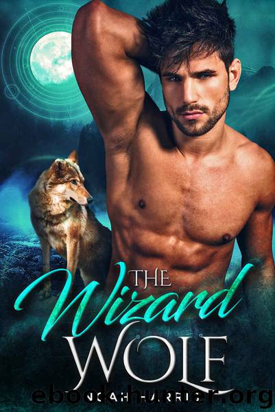The Wizard Wolf: WindWard Book One by Harris Noah