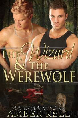 The Wizard and The Werewolf by Amber Kell