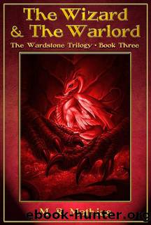 The Wizard and the Warlord (The Wardstone Trilogy Book Three) by M. R. Mathias