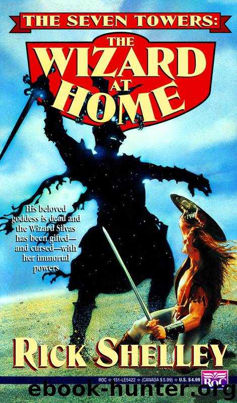 The Wizard at Home by Rick Shelley