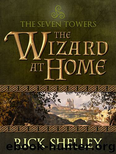 The Wizard at Home by rick shelley