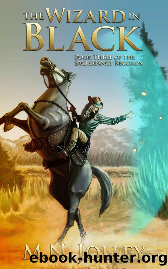 The Wizard in Black by M. N. Jolley