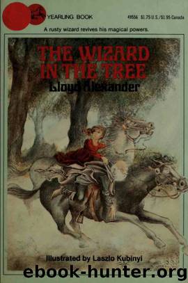The Wizard in the Tree by Llyod Alexander