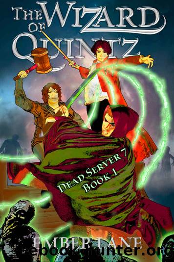 The Wizard of Quintz: A coming of age LitRPG by Ember Lane