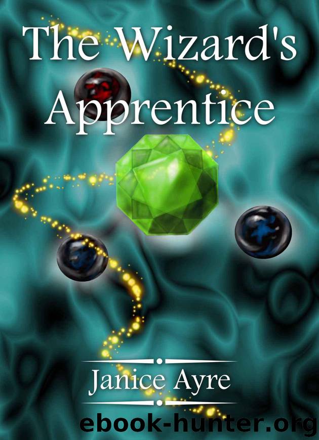 The Wizard's Apprentice (The Apprentice) by Ayre Janice
