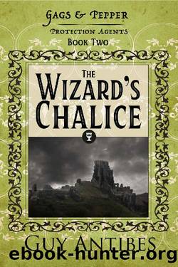 The Wizard's Chalice (Gags & Pepper: Protection Agents Book 2) by Guy Antibes