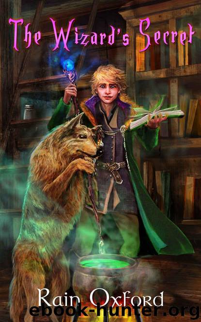 The Wizard's Secret by Rain Oxford