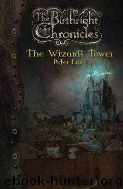 The Wizard's Tower 02 by Peter Last