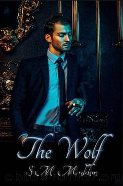 The Wolf (Billionaire Vikings Book 2) by S.M. Maddox