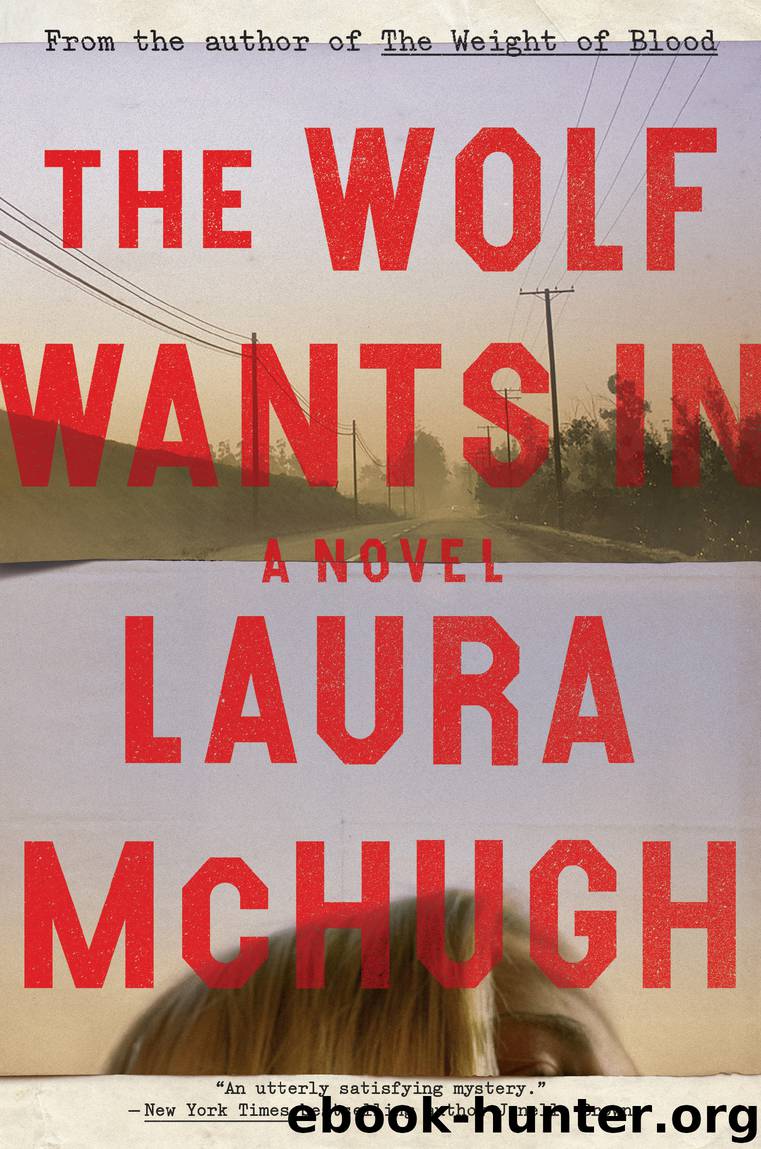 The Wolf Wants In by Laura McHugh