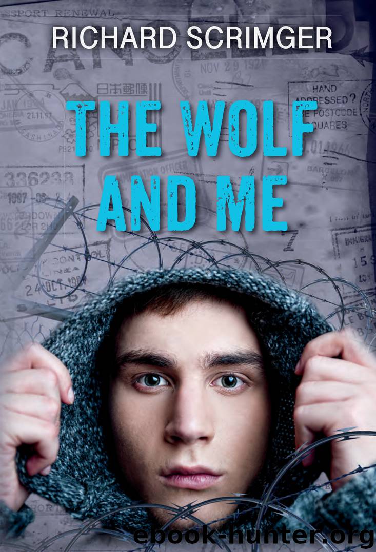 The Wolf and Me: The Seven Sequels by Richard Scrimger