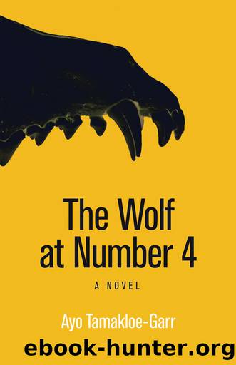 The Wolf at Number 4 by Ayo Tamakloe-Garr