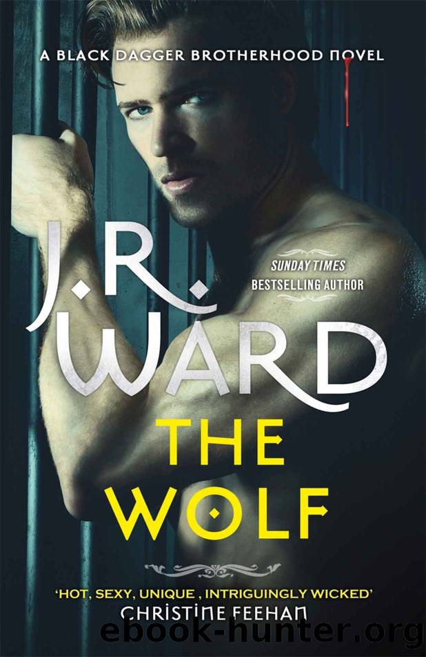 The Wolf by Ward J. R