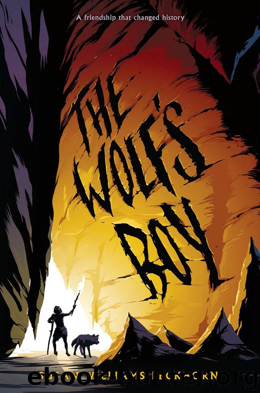 The Wolf's Boy by Susan Williams Beckhorn