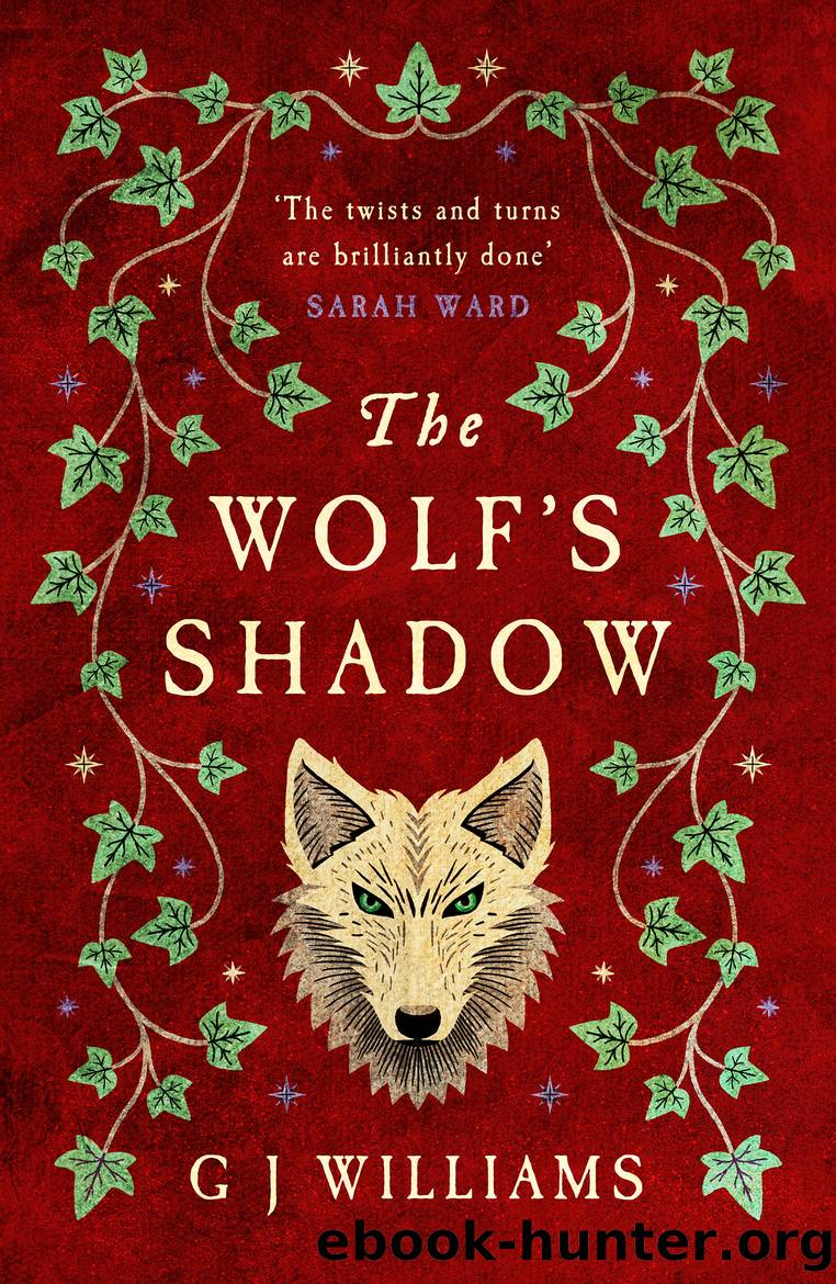 The Wolf's Shadow by G J Williams