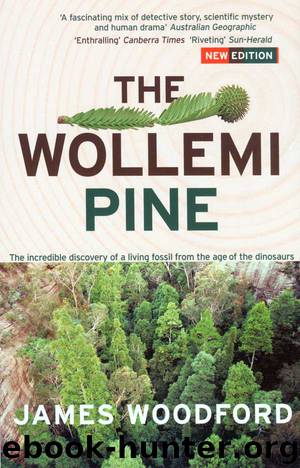 The Wollemi Pine by James Woodford