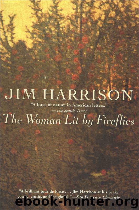 The Woman Lit by Fireflies