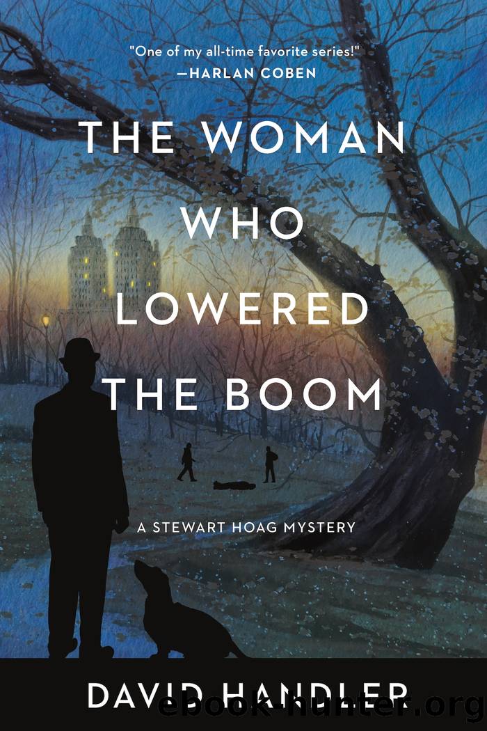 The Woman Who Lowered the Boom by David Handler