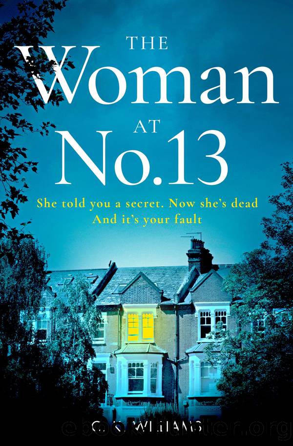The Woman at No. 13 by C. K. Williams