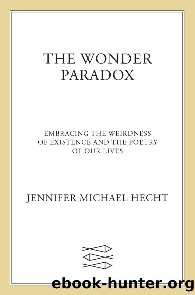The Wonder Paradox by Jennifer Michael Hecht