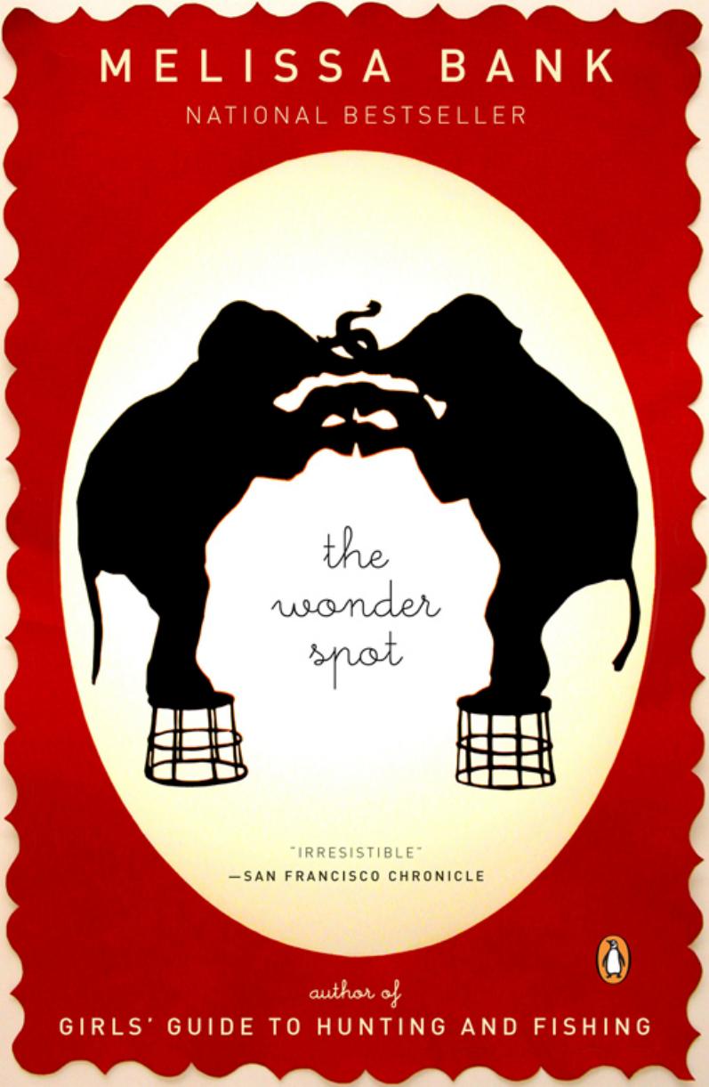 The Wonder Spot by Unknow