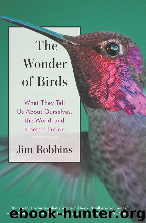 The Wonder of Birds by Jim Robbins