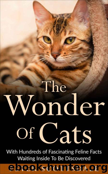 The Wonder of Cats by Peter Scottsdale