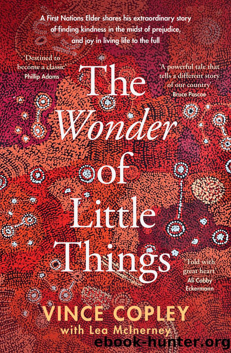 The Wonder of Little Things by Vince Copley